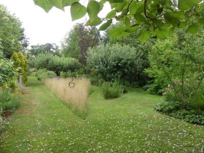 2022-07-10 Garteneinblick 3.jpg