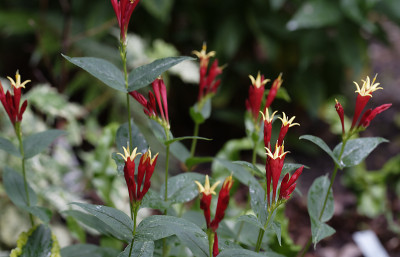DSC_5758_DxO.jpg