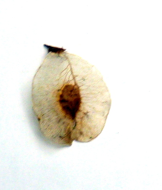 P1110386.JPG