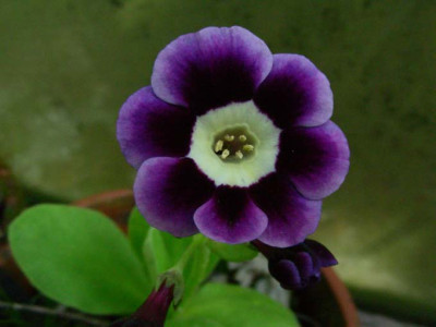 Thetis_DSCN2025.JPG