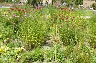 Landesgartenschau Beelitz 2022 536.jpg