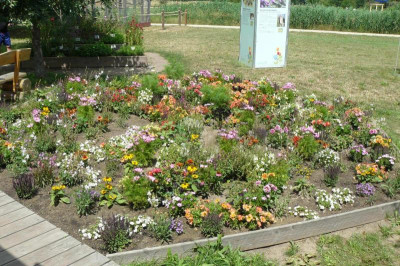 Landesgartenschau Beelitz 2022 541.jpg