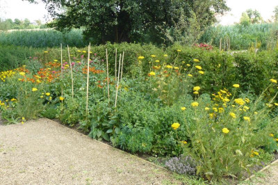 Landesgartenschau Beelitz 2022 546.jpg