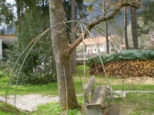 P4220130.JPG