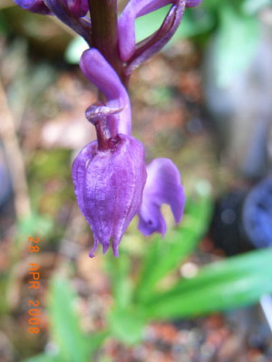 o-farbe.JPG
