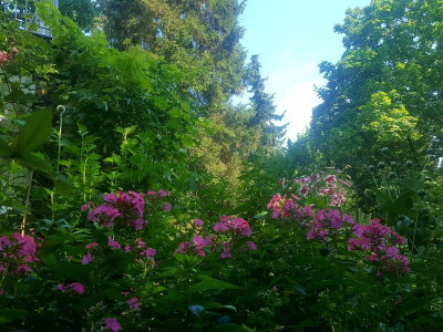 20220713_192332.jpg