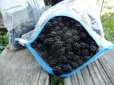 Brombeeren1.jpg
