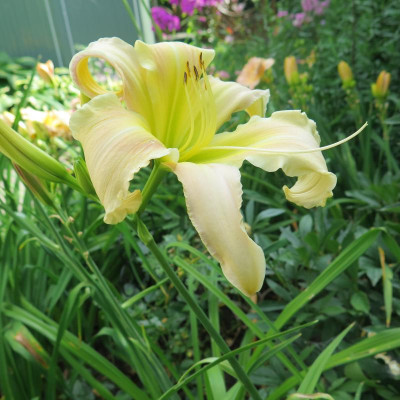 IMG_0687.JPG