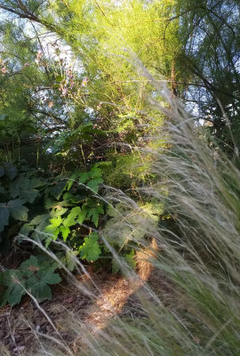 20220716_083840.jpg