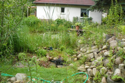Offene Gärten 4227.jpg