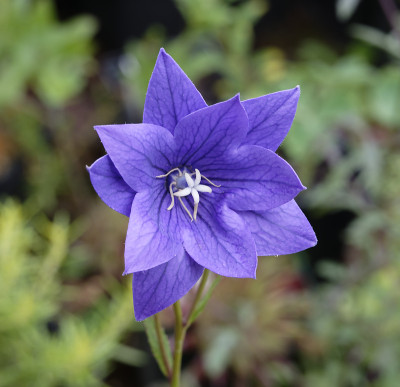 DSC_5869_DxO.jpg