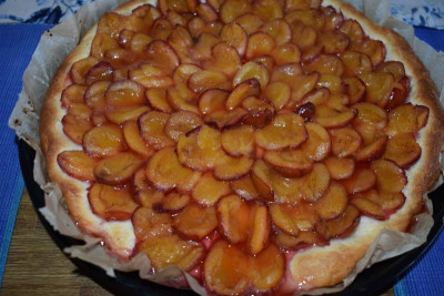 Spillingkuchen, Schnecken 006.JPG