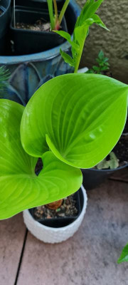 20220718_201211.jpg