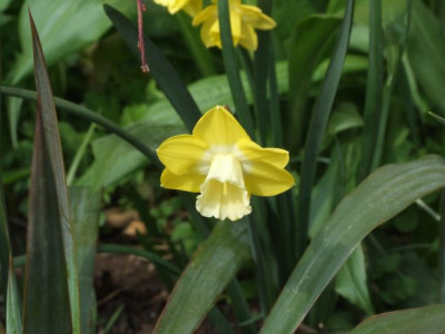 DSCF6741.jpg