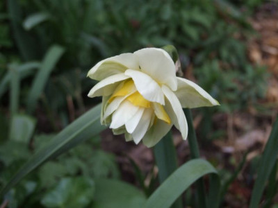 DSCF6409.jpg