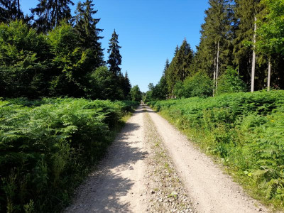 20220719_094121.jpg