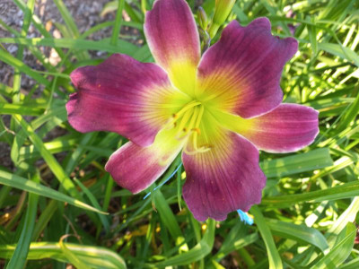 20220720_090844.jpg