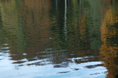 wasserherbstfarben_7860.jpg