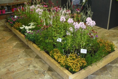 Landesgartenschau Beelitz 2022 660.jpg