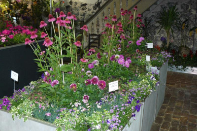 Landesgartenschau Beelitz 2022 662.jpg