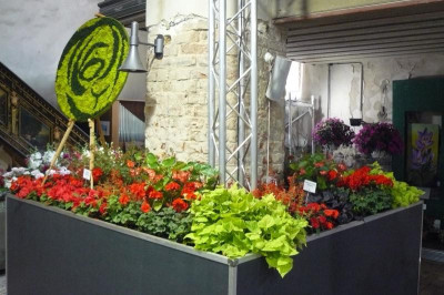 Landesgartenschau Beelitz 2022 666.jpg