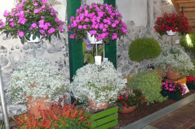 Landesgartenschau Beelitz 2022 673.jpg