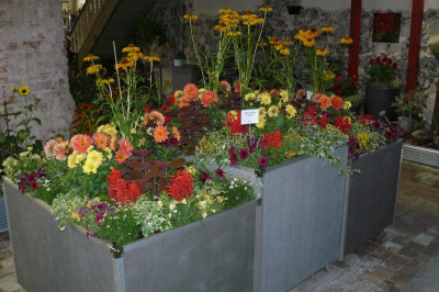 Landesgartenschau Beelitz 2022 681.jpg