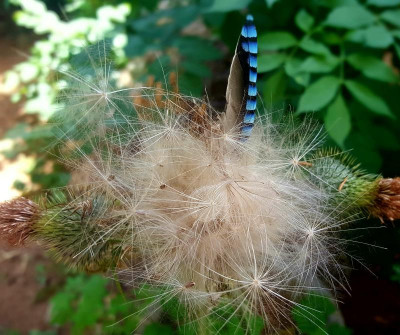 20220717_153132.jpg
