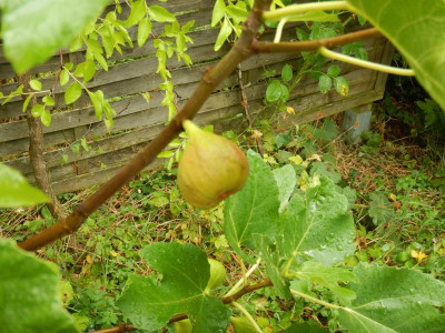 DSCN8226.JPG