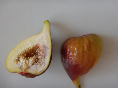 DSCN8227.JPG