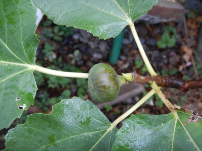 DSCN8232.JPG