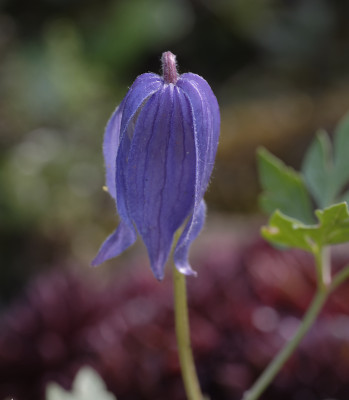 DSC_5939_DxO.jpg