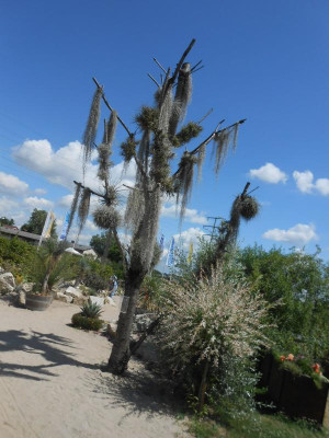 DSCN4226.JPG