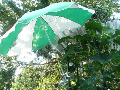 220722_Sonnenschutz_2.jpg