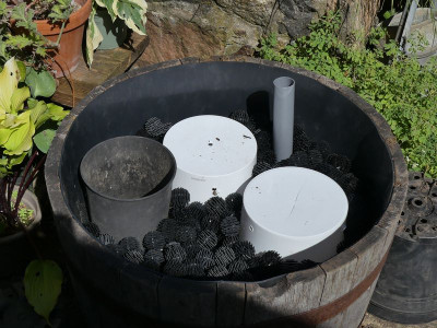2022-07-24 Moorbeetkübel 1.jpg