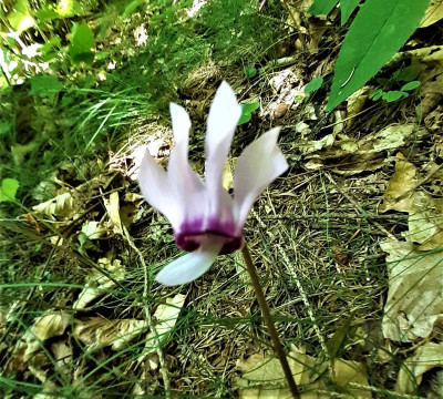 20220719_113634.jpg