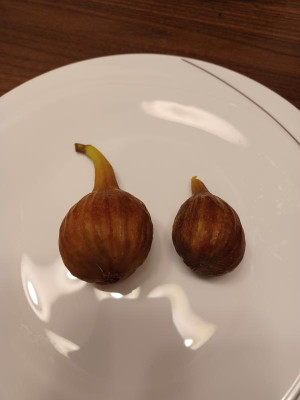 20220725_210140.jpg