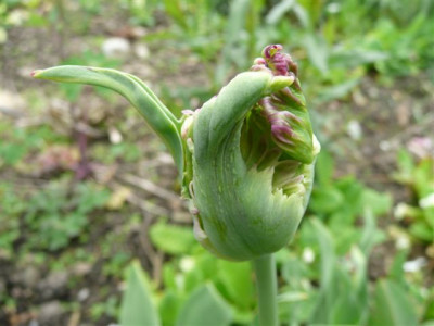30.04.208.50.JPG