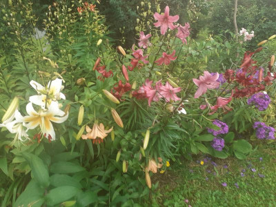 20220715_135943.jpg