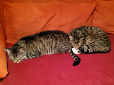 Bobo&Kalle 8.jpg
