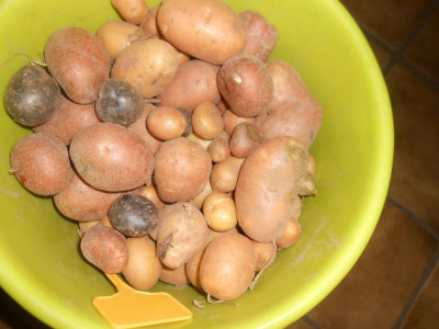 DSCN4603.JPG