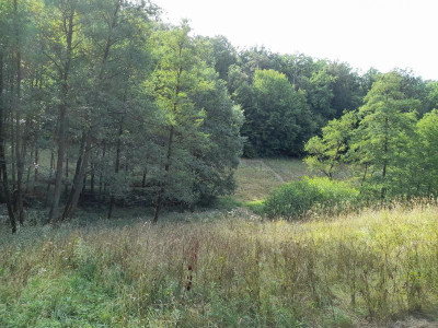silageflächeinderkurve22erstbesteigung.jpg