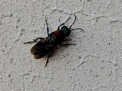 20220729_104757.jpg