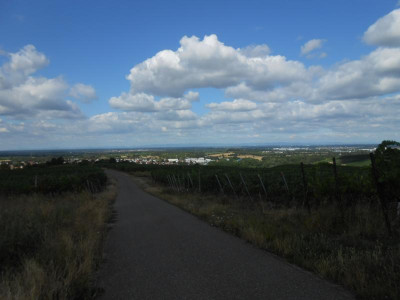DSCN4601.JPG