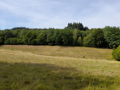 20220802_163136.jpg