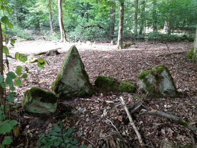 20220731_121528.jpg