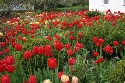 Pfarrgarten_0108.jpg