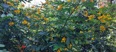20220804_104059.jpg