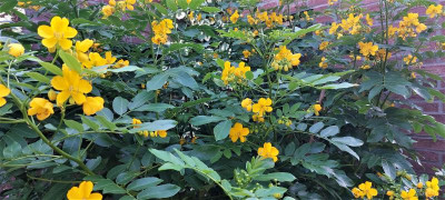 20220804_104043.jpg