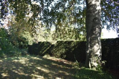 Villa Moser 020.JPG